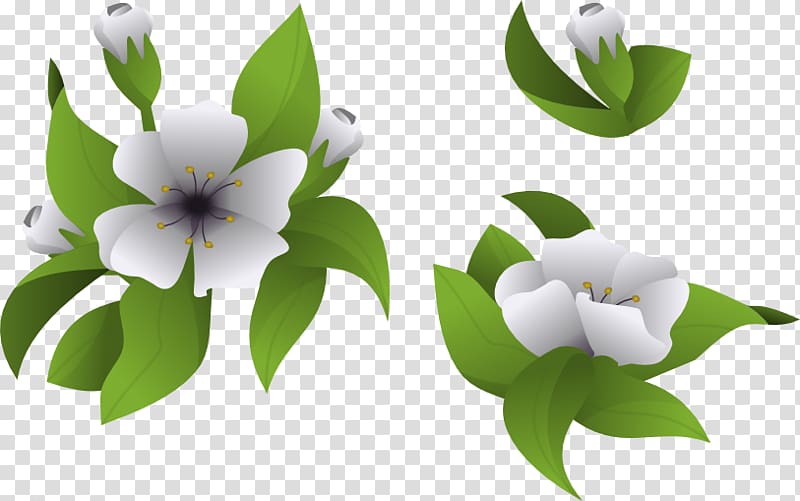Flowering plant Desktop , team cherry transparent background PNG clipart