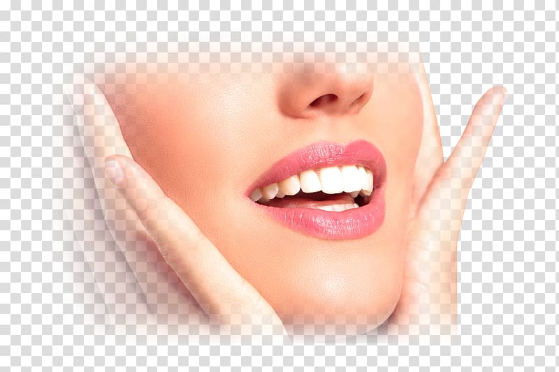 Lip balm Skin care Lip gloss, face skin care transparent background PNG clipart