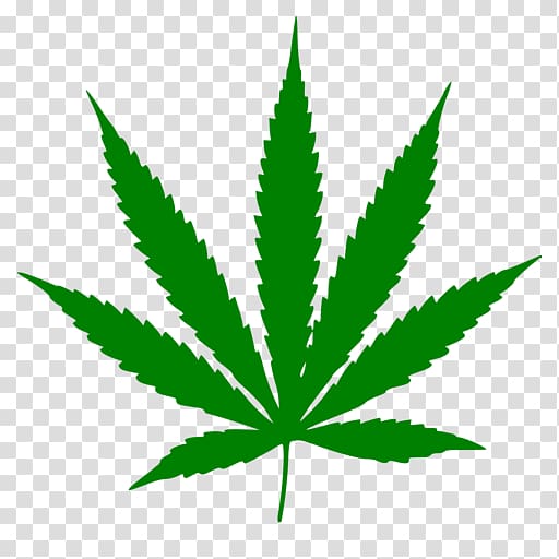 Cannabis ruderalis Medical cannabis Leaf, cannabis transparent background PNG clipart