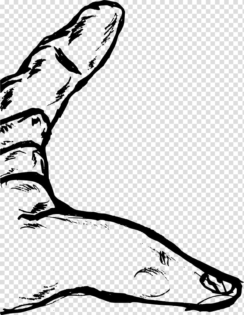 , fingers transparent background PNG clipart