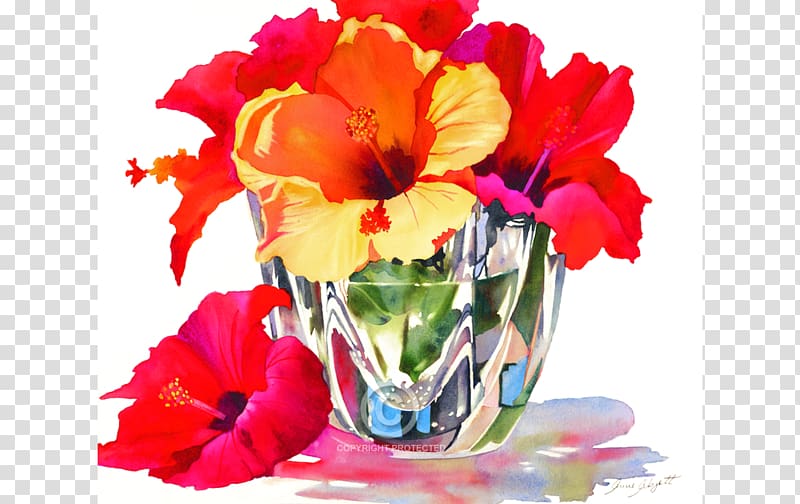 WaterColor, Florida Cut flowers Mallows Floral design, watercolor transparent background PNG clipart