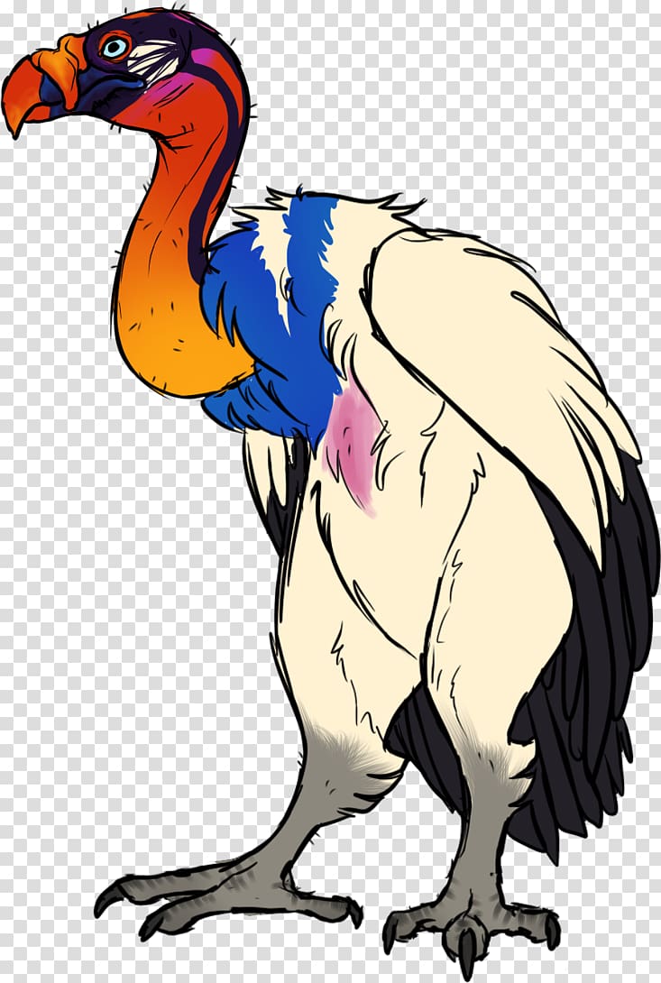 King vulture Bird Beak, king vulture transparent background PNG clipart