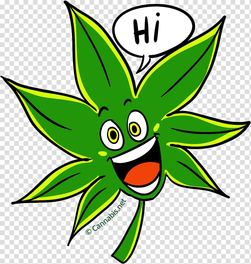 Cannabis Kush Plant , cannabis transparent background PNG clipart