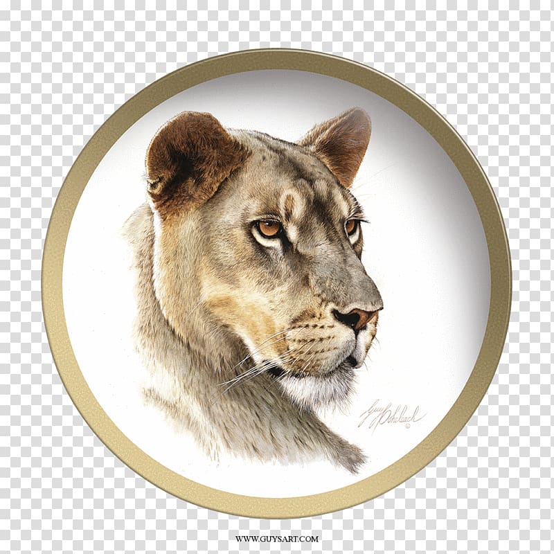 Lion Big cat Drawing Painting, big head transparent background PNG clipart