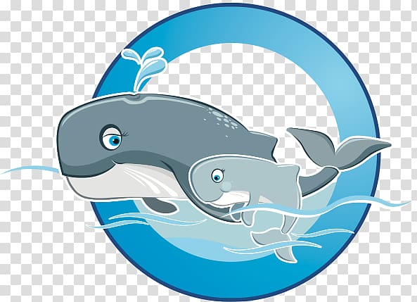 Dolphin Shark Porpoise Marine biology , Swimming Float transparent background PNG clipart