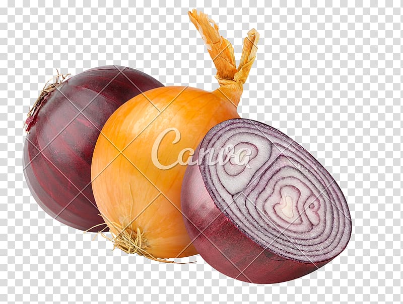 Onion ring Hamburger Vegetable Red onion, onions transparent background PNG clipart