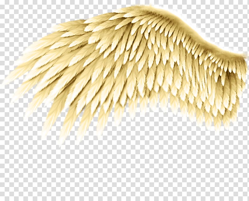 Drawing Angel wing Bird Tattoo, Bird transparent background PNG clipart