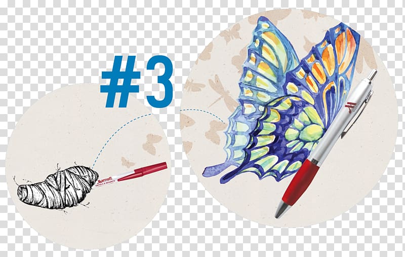 Butterfly Beautiful Butterflies: Natures Wonders Drawing, kobold suit creative combination transparent background PNG clipart