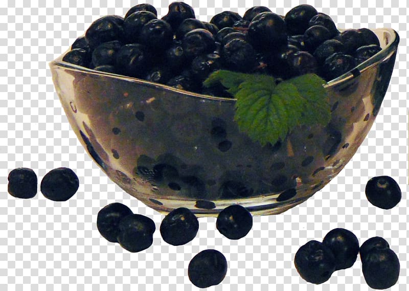 Blueberry Tea Chokeberry Bilberry, blueberry transparent background PNG clipart