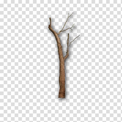 brown twig , Gray Tree Twig Branch, gray tree branches transparent background PNG clipart