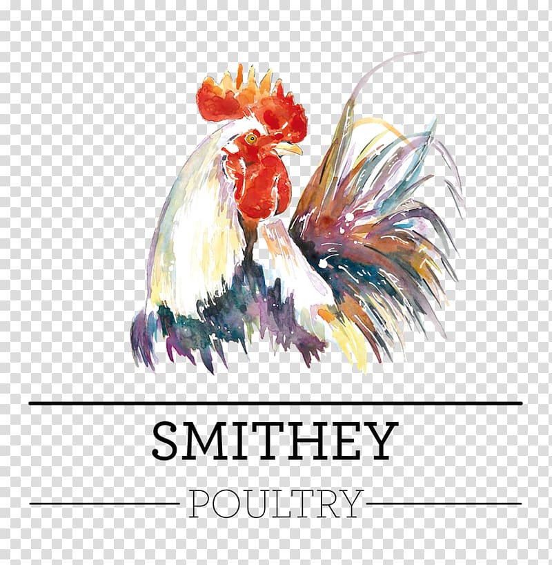 Rooster Watercolor Landscape Chicken Watercolor painting, chicken transparent background PNG clipart