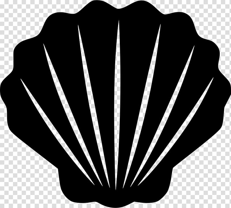 Seashell Black and white Computer Icons , seashell transparent background PNG clipart