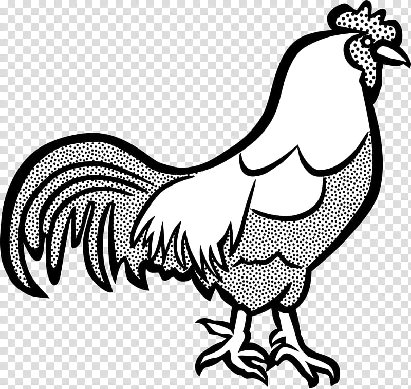 Cochin chicken Wyandotte chicken Rooster Dorking chicken The Cock Coloring Book, Black And White Funny Cartoon Of Ducks transparent background PNG clipart