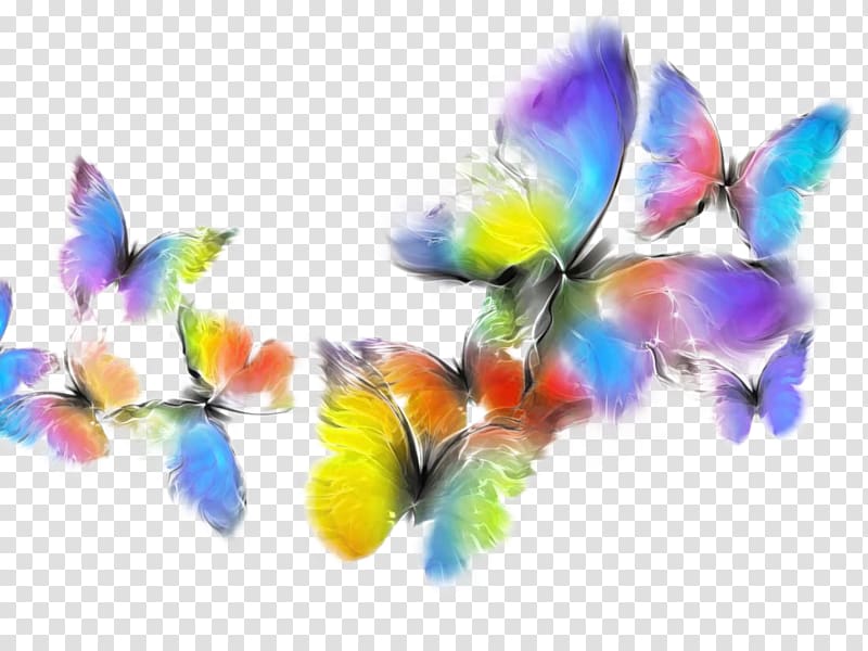 Awaken Chrysalis Room Butterflies and moths painting Child, Colorful butterfly transparent background PNG clipart