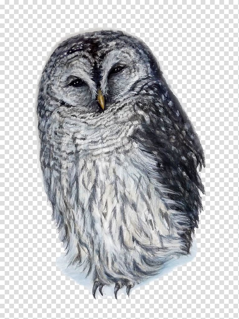 Great Grey Owl Squirrel Barred Owl Great Horned Owl, hand painted planet transparent background PNG clipart