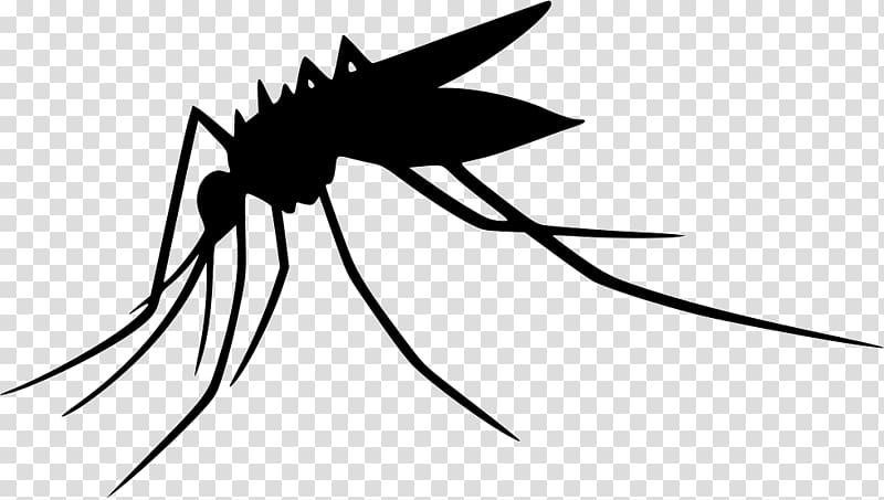 Mosquito Computer Icons , mosquito transparent background PNG clipart