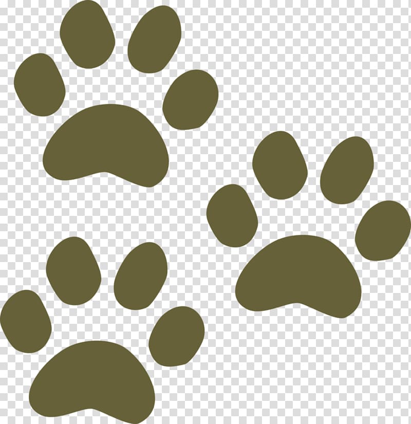 Dog walking Cat T-shirt Paw, dog transparent background PNG clipart