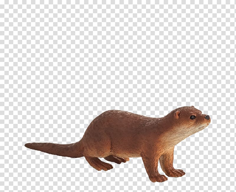 Otter Weasels Animal American black bear Dutch Warmblood, otter transparent background PNG clipart