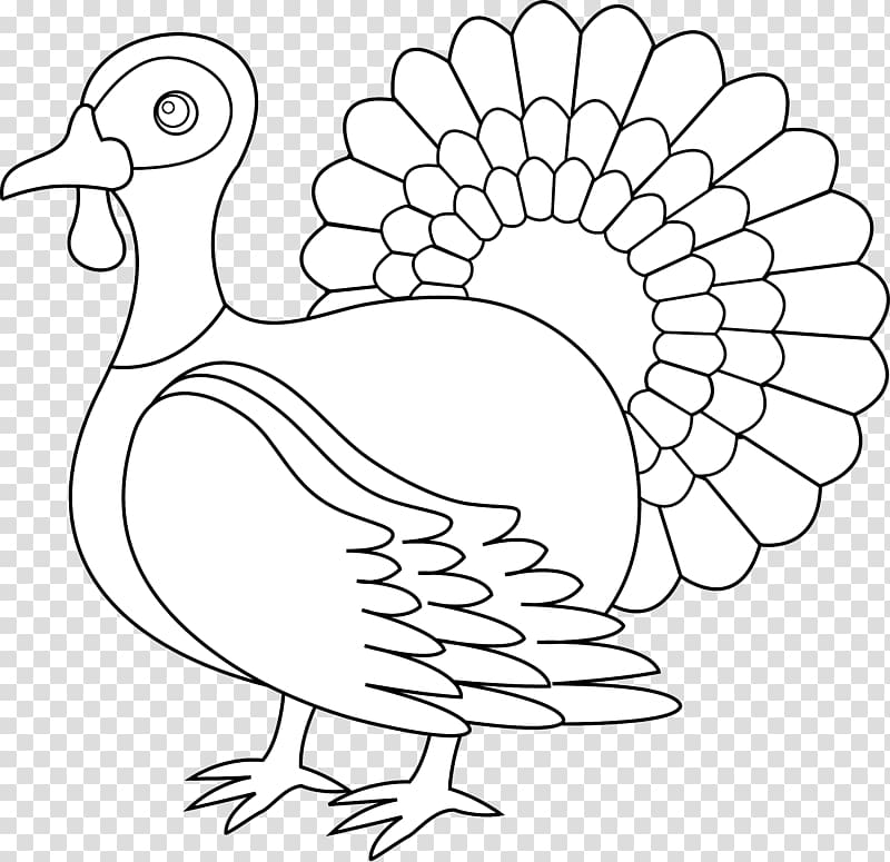 Black turkey Black and white Turkey meat , Turkey Line Art transparent background PNG clipart