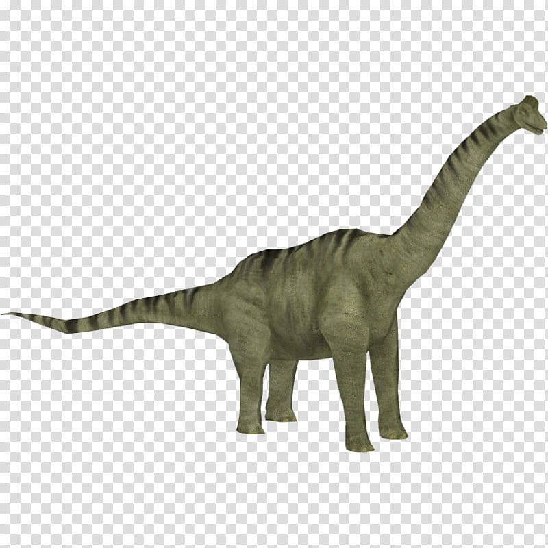 Brachiosaurus Jurassic Park: Operation Genesis Zoo Tycoon 2 Camarasaurus Allosaurus, dinosaur transparent background PNG clipart