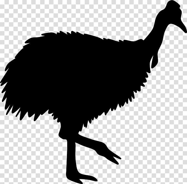 Common ostrich Galliformes Beak Silhouette , Silhouette transparent background PNG clipart