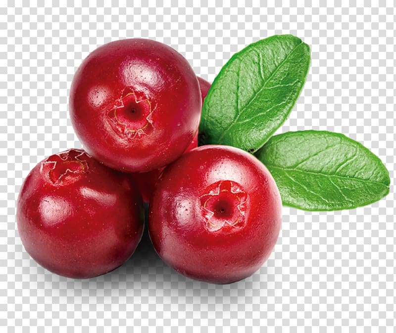 four pomegranates, Northeastern United States Nutrient Organic food Cranberry, cranberry transparent background PNG clipart