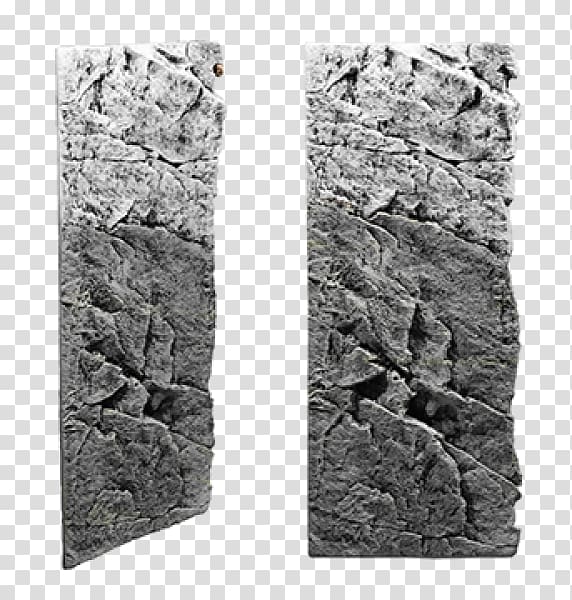 Aquariums Discus Fishkeeping Gneiss, basalt transparent background PNG clipart