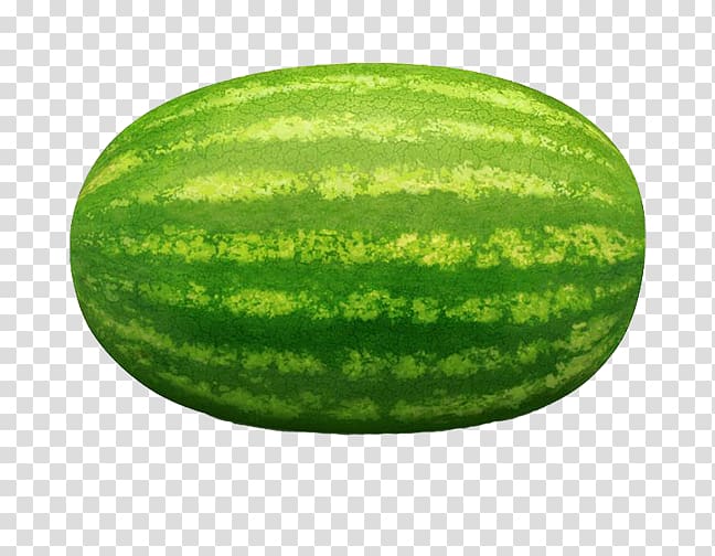 Watermelon Cantaloupe Honeydew Seedless fruit, Long watermelon transparent background PNG clipart