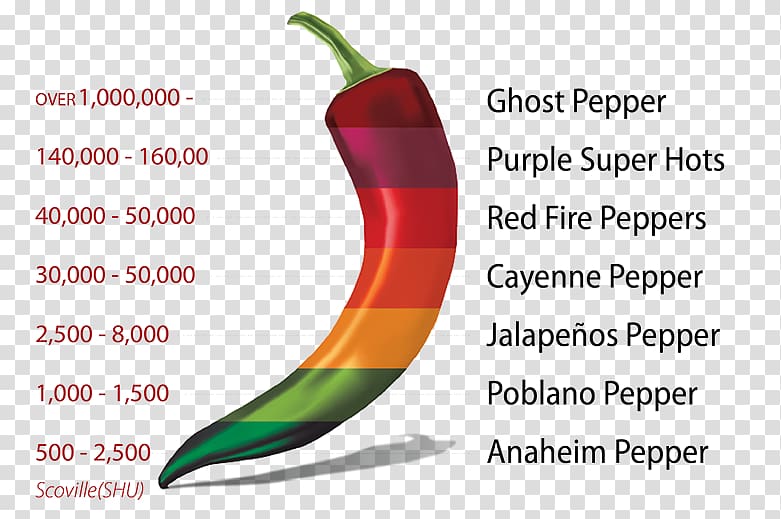 Chili pepper Jalapeño Bell pepper Cayenne pepper Scoville Unit, Bell Pepper Watercolor transparent background PNG clipart