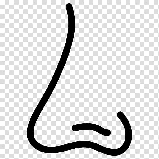 nose outline clipart