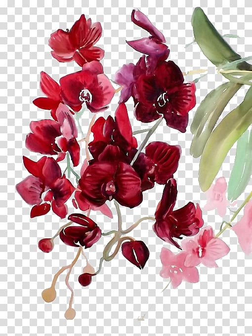maroon flowers illustration, Watercolor painting Watercolor: Flowers Watercolour Flowers Orchids, Red flowers transparent background PNG clipart