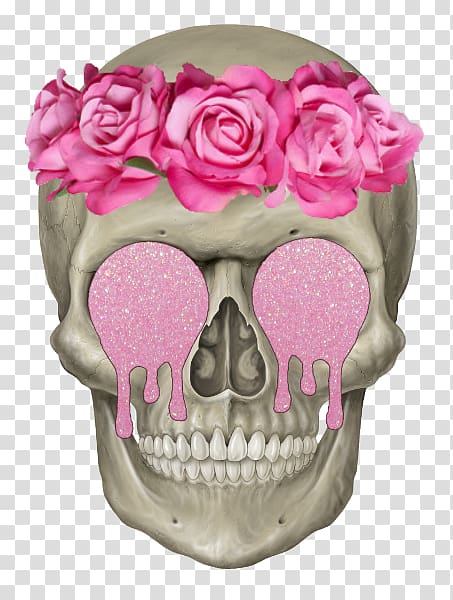 Human skeleton Skull Axial skeleton Head, Pink Skull transparent background PNG clipart