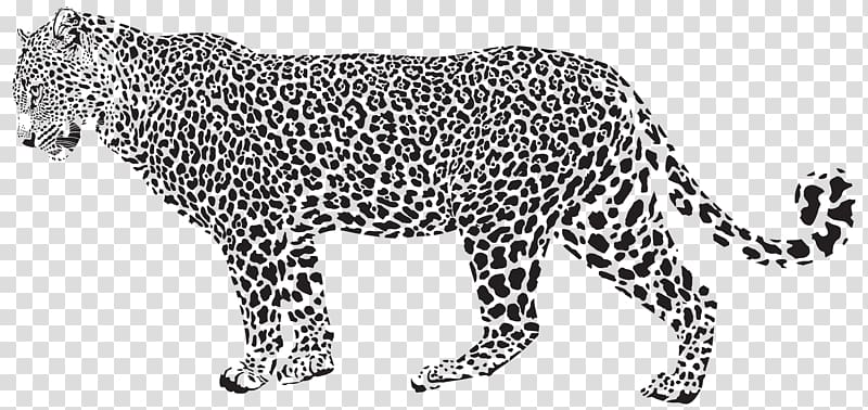 black and white leopard illustration, Snow leopard Cheetah , Jaguar Silhouette transparent background PNG clipart