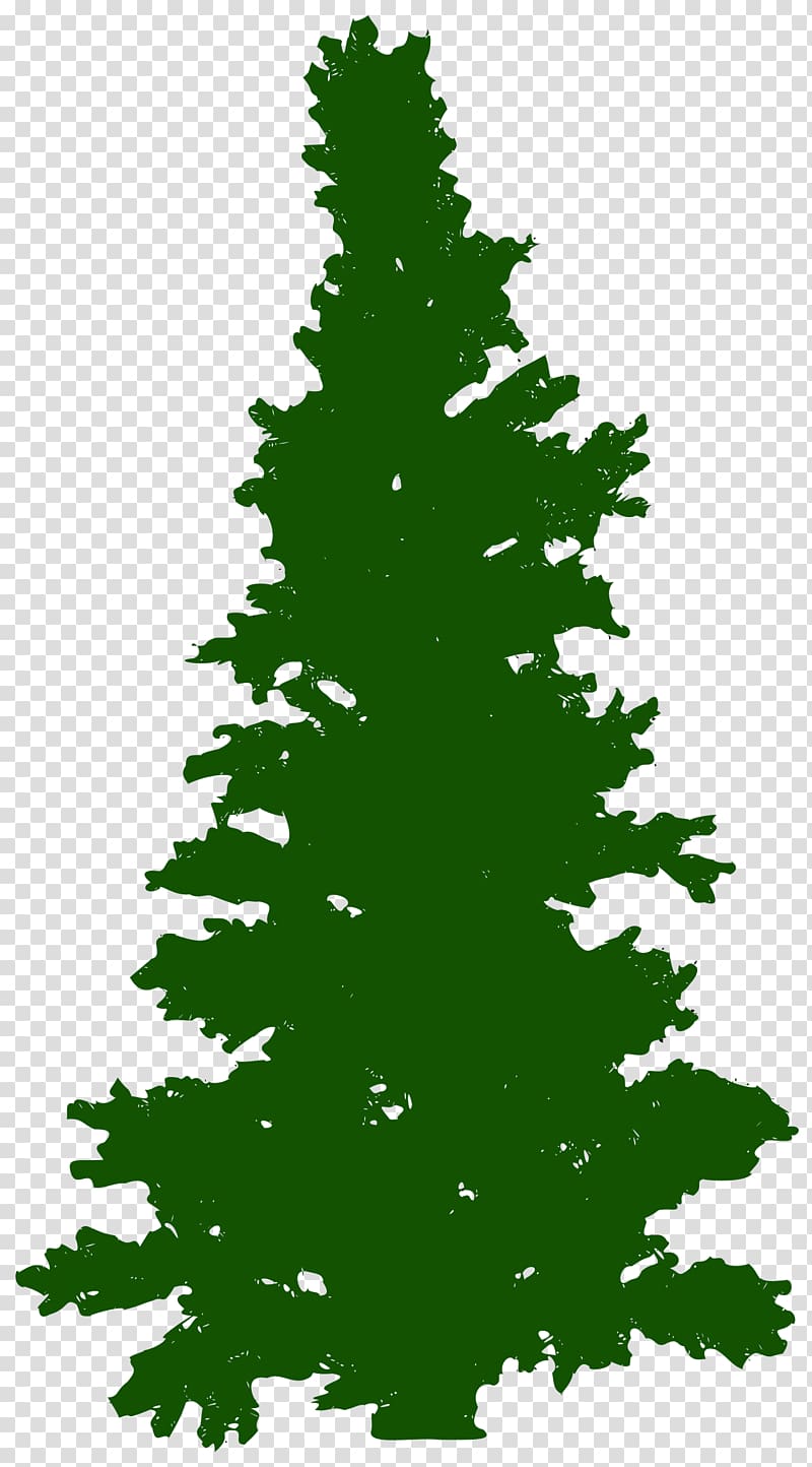 Christmas tree Pine Fir, tree transparent background PNG clipart