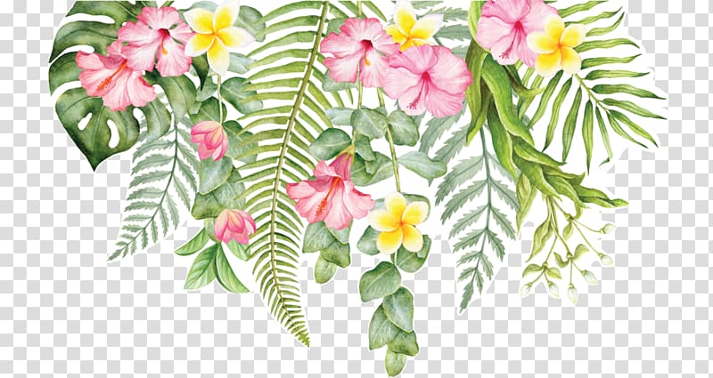 Cut flowers Wall decal Floral design, tropical flower, pink hibuscus transparent background PNG clipart