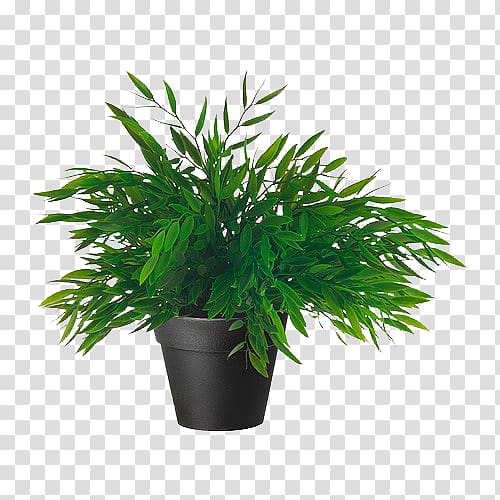 Houseplant Flowerpot Artificial flower Tropical woody bamboos, plant transparent background PNG clipart