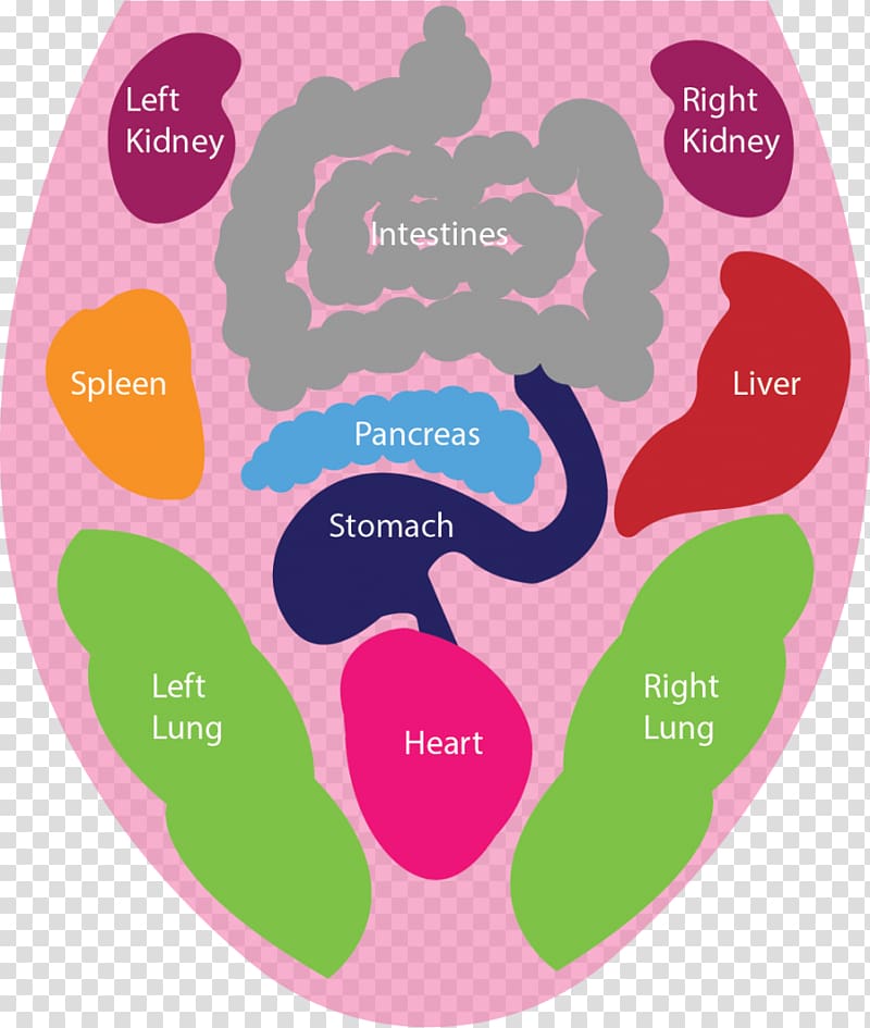 Tongue Oral hygiene Health Reflexology Human mouth, Scalloped border transparent background PNG clipart