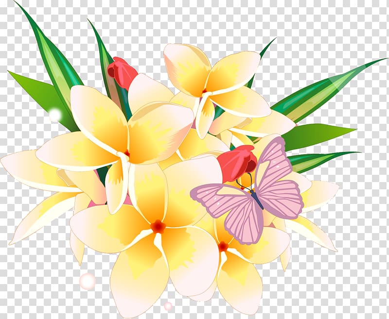 Flower Desktop , frangipani transparent background PNG clipart