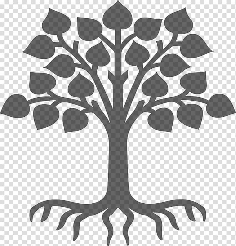Tree of life Business Organization Root, tree transparent background PNG clipart