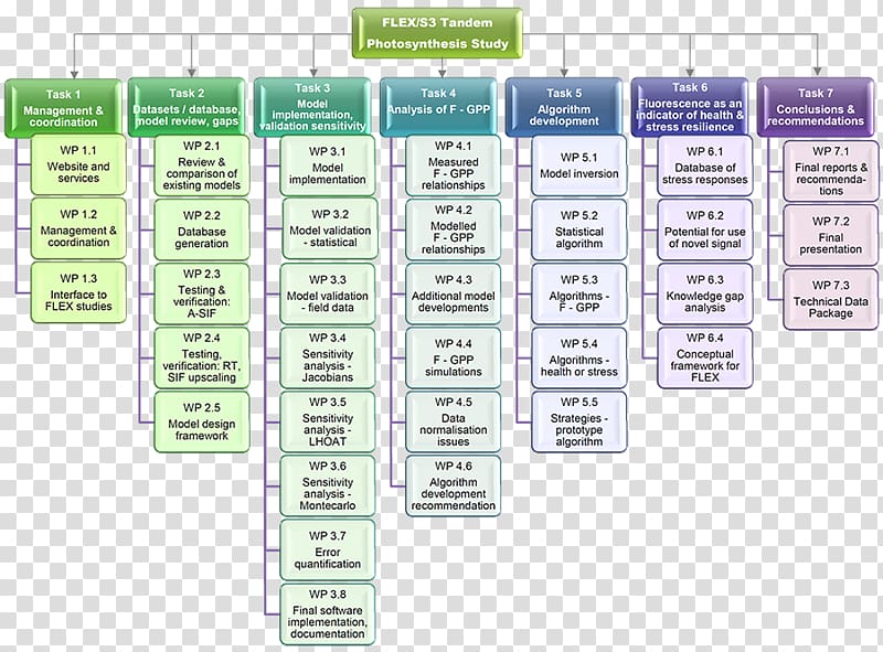Organizational chart Task Diagram Organizational structure, chart model transparent background PNG clipart