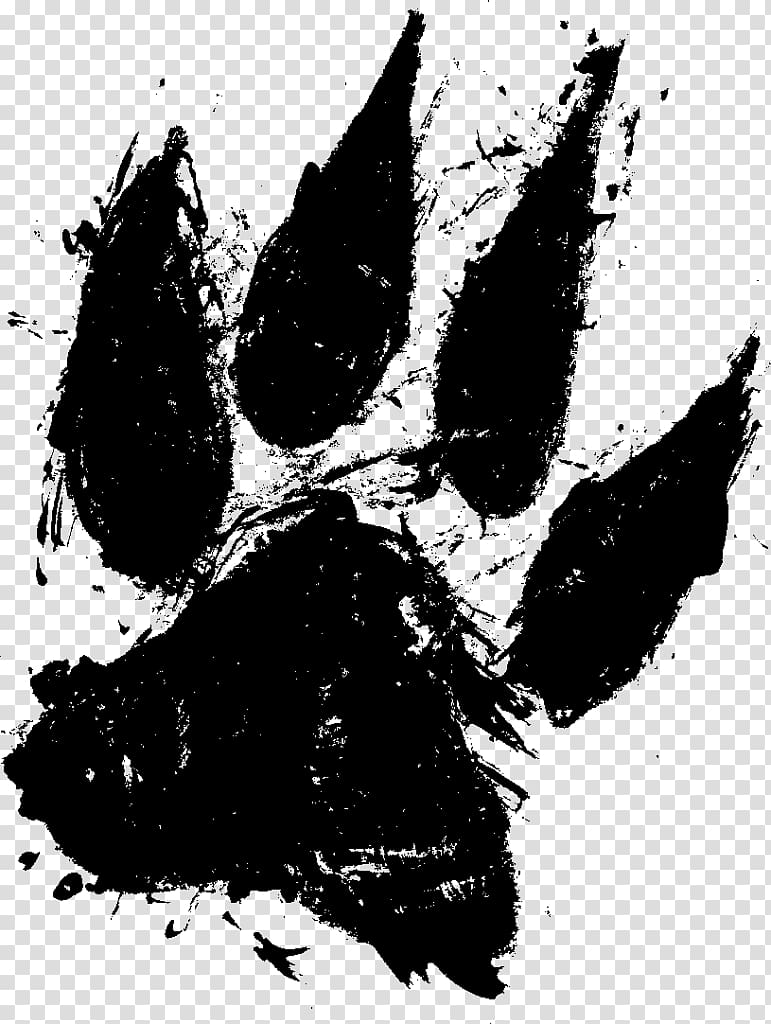 Dog Paw Cat , pawpaw transparent background PNG clipart