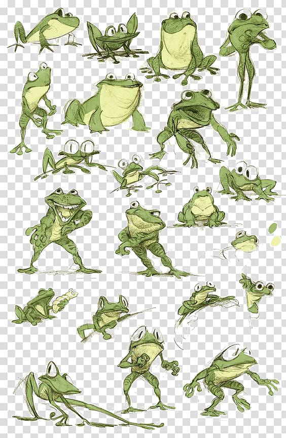 Frog Model sheet Character Drawing, Green Frog transparent background PNG clipart
