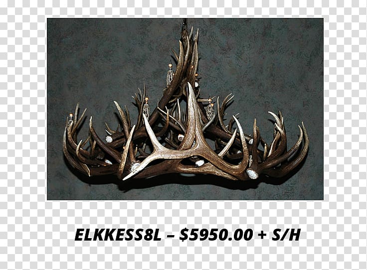 Antler Elk Deer Horn Chandelier, Antler transparent background PNG clipart