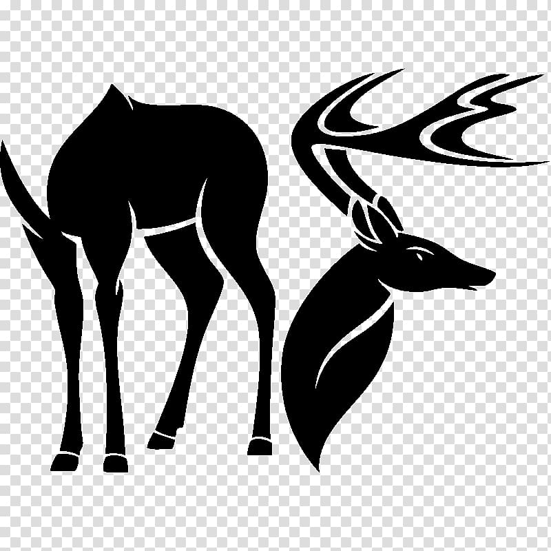 Red deer White-tailed deer Antler, deer transparent background PNG clipart