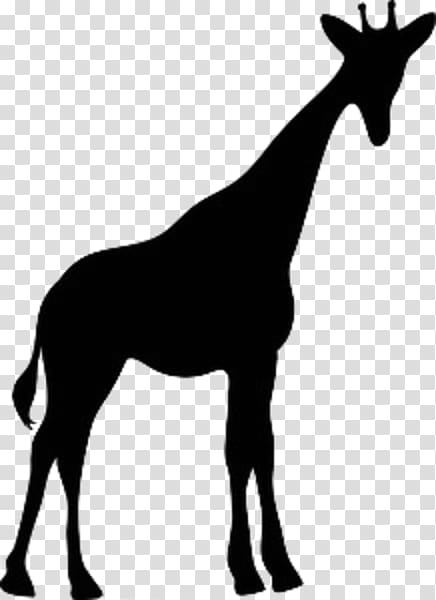 Giraffe Silhouette , giraffe transparent background PNG clipart