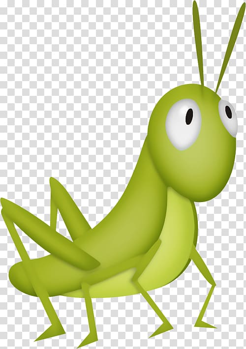 The Ant and the Grasshopper Cricket , grasshopper transparent background PNG clipart