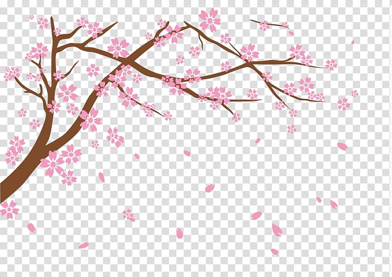 cherry blossom illustration, National Cherry Blossom Festival, Free to pull the material falling cherry blossoms transparent background PNG clipart