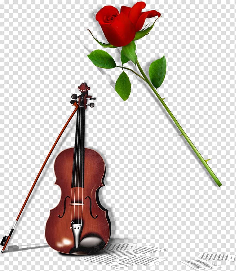 Violin Cello , Violin rose elements transparent background PNG clipart