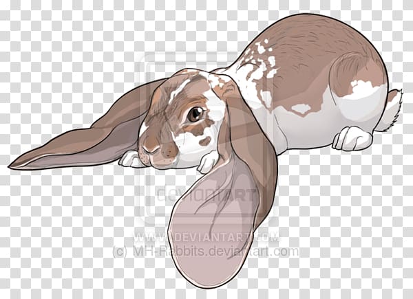 Hare Reptile Ear Illustration Mammal, chestnut netherland dwarf transparent background PNG clipart