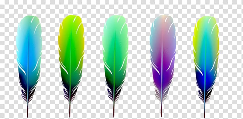 Feather Color Euclidean Material, Color feather effect element transparent background PNG clipart